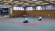 2007年 木原六段演武